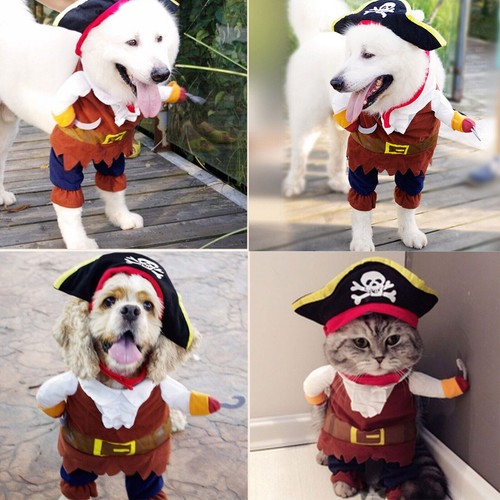 Pet pirate costume dog - pirate, &