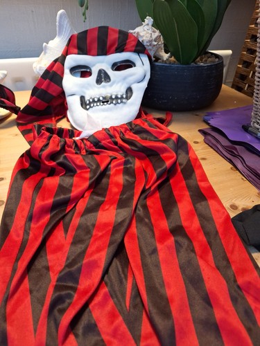Halloween pirate fancy dress - pirate,